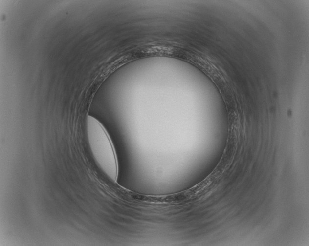 X0000085750649200703160839