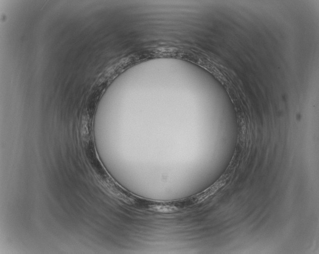 X0000085750654200703160839