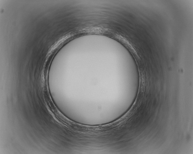 X0000085750674200703160838