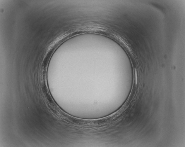 X0000085750675200703160838