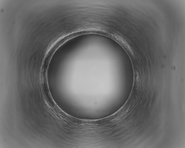 X0000085750676200703160838