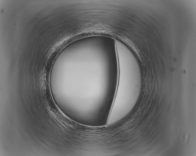 X0000085750680200703160838
