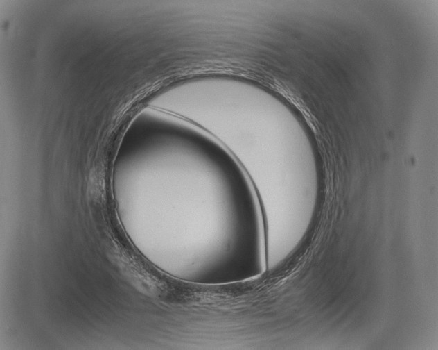 X0000085750681200703160838