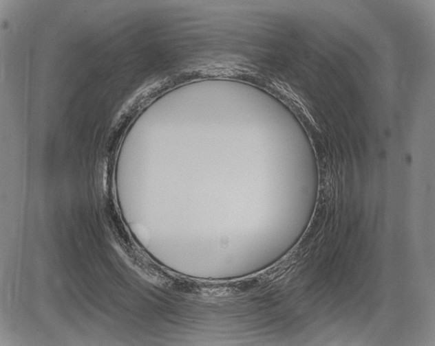 X0000085750686200703160838