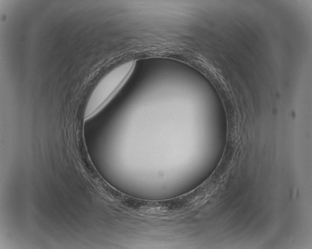 X0000085750689200703160838