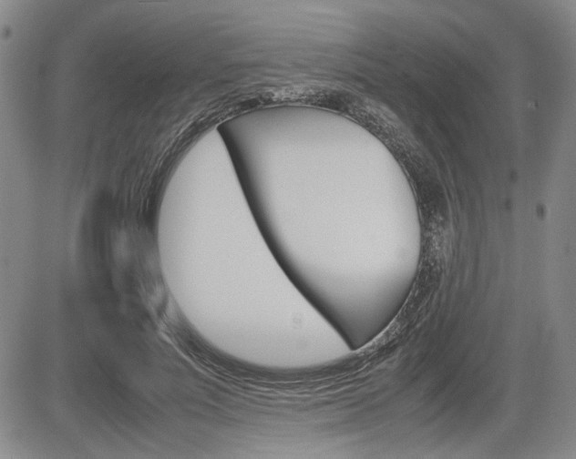X0000085750691200703160838