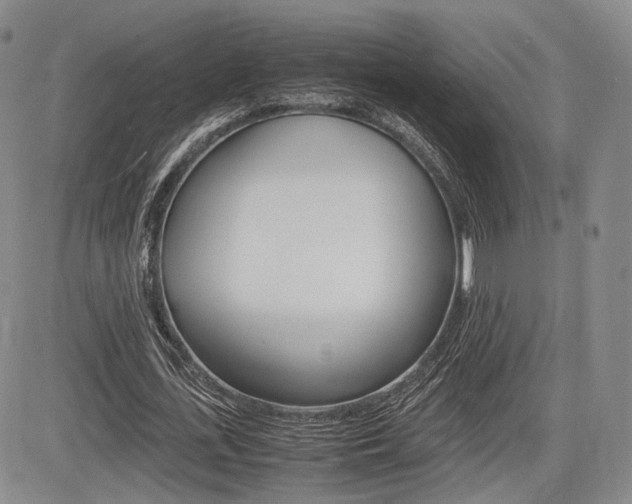 X0000085750723200703160837