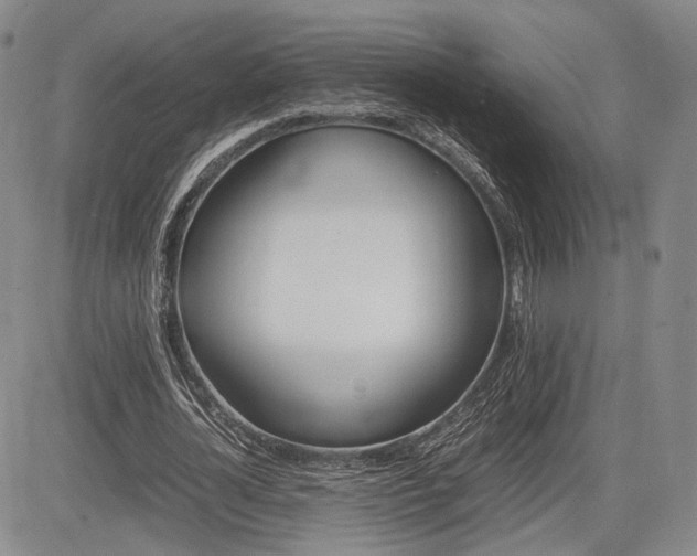 X0000085750724200703160837