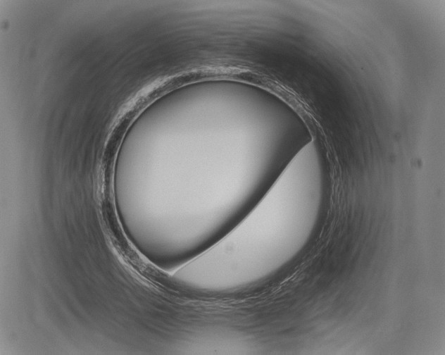 X0000085750726200703160837