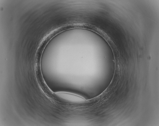 X0000085750728200703160837