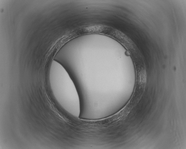 X0000085750733200703160837