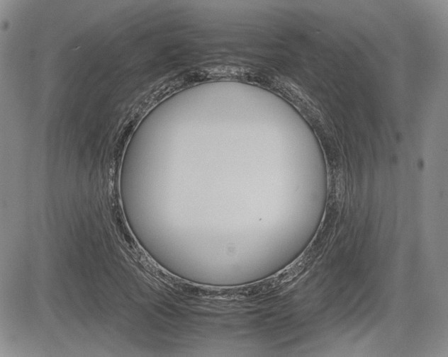 X0000085750737200703160837