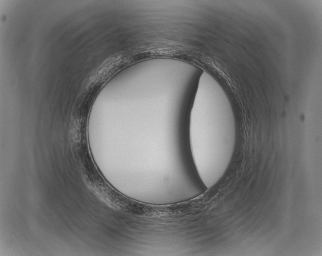 X0000085750738200703160837
