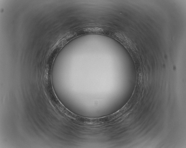 X0000085750739200703160837