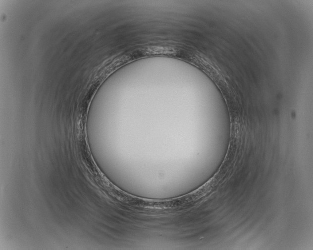X0000085750741200703160837
