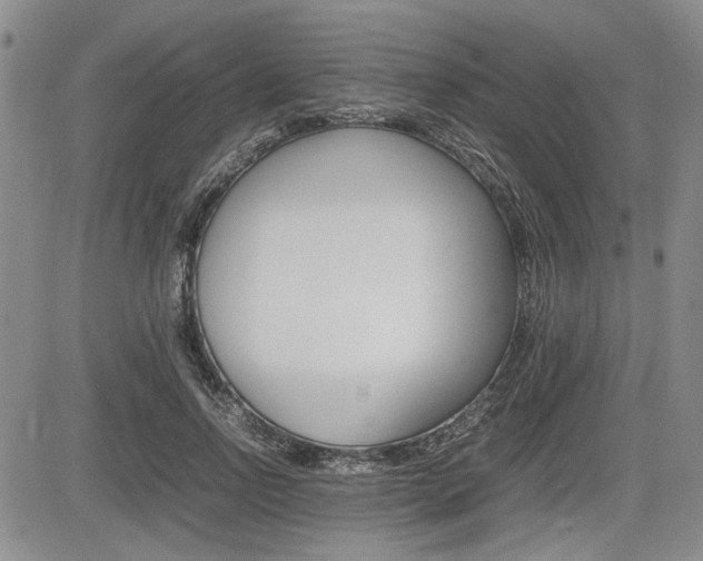 X0000085750742200703160837