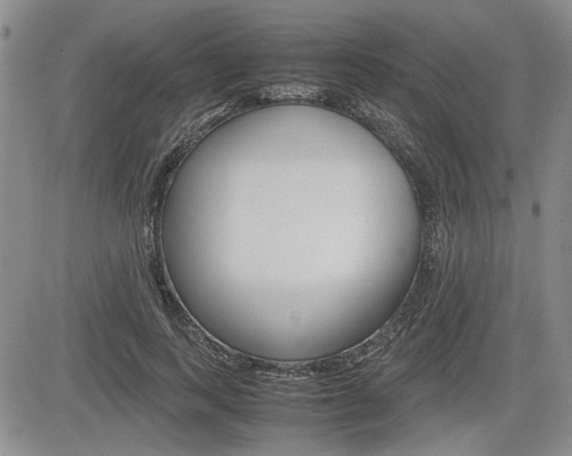 X0000085750743200703160837