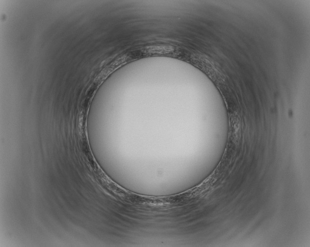 X0000085750745200703160837
