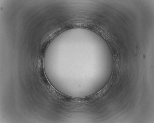 X0000085750746200703160837