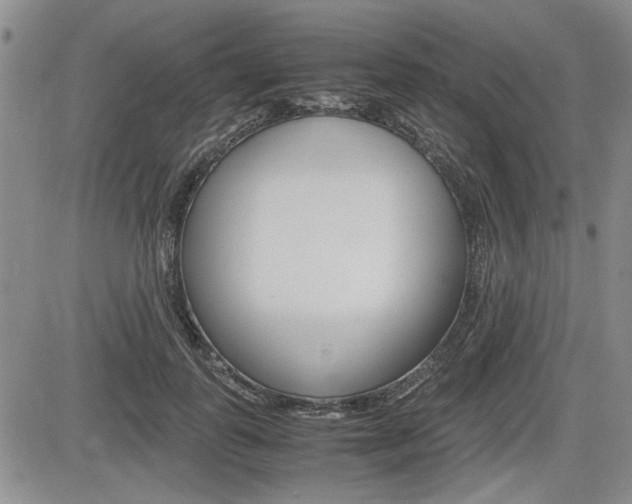 X0000085750747200703160837
