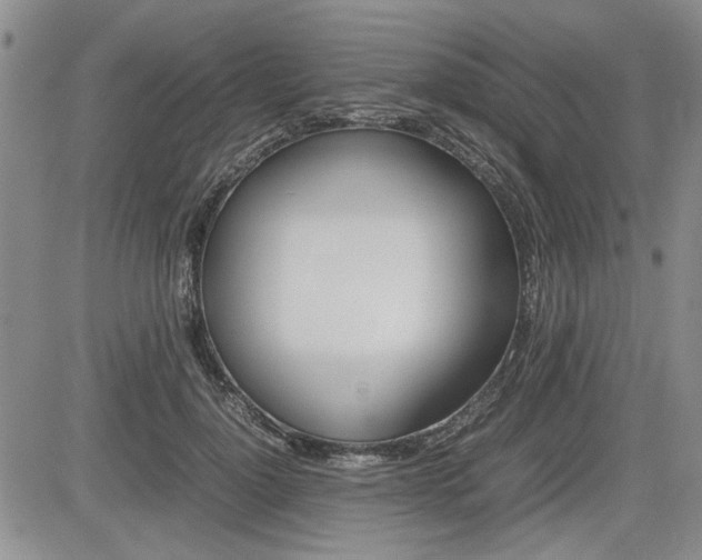 X0000085750748200703160837