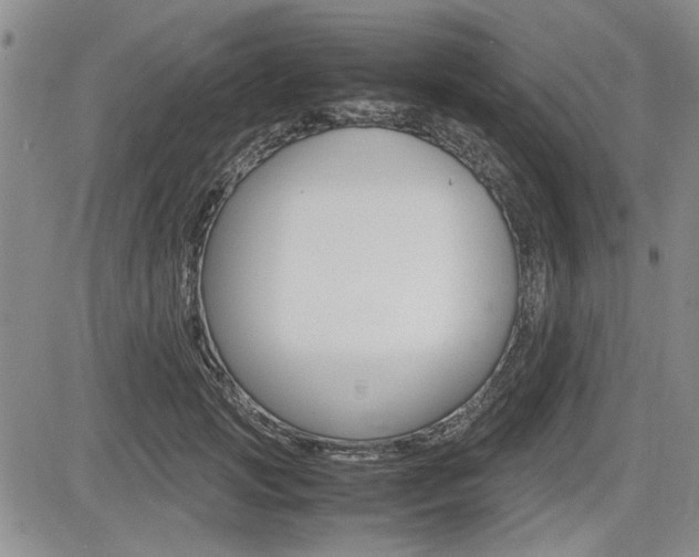 X0000085750749200703160837