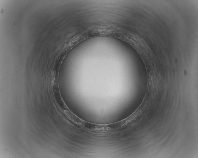 X0000085750752200703160837