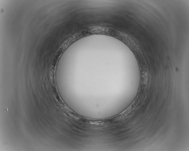 X0000085750753200703160837