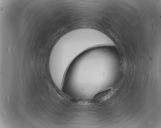 X0000085750764200703160837