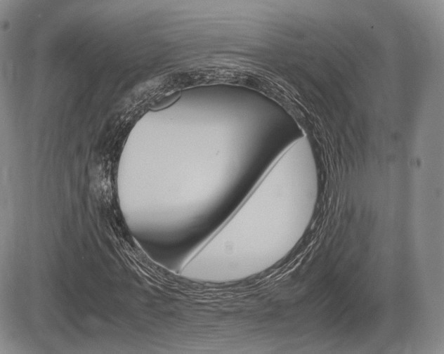 X0000085750771200703160837