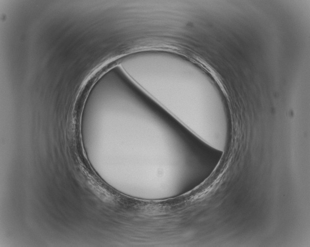 X0000085750779200703160837