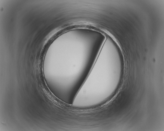 X0000085750783200703160836