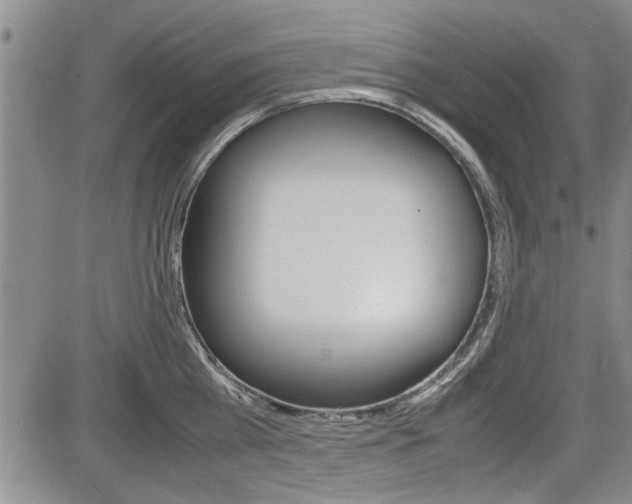 X0000085750809200703160836