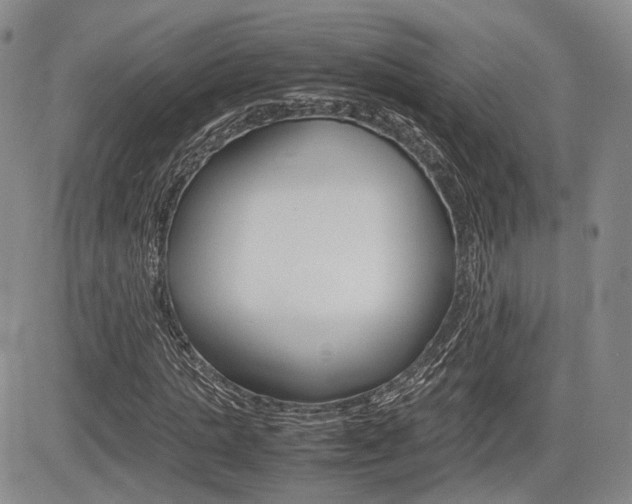 X0000085750821200703160835