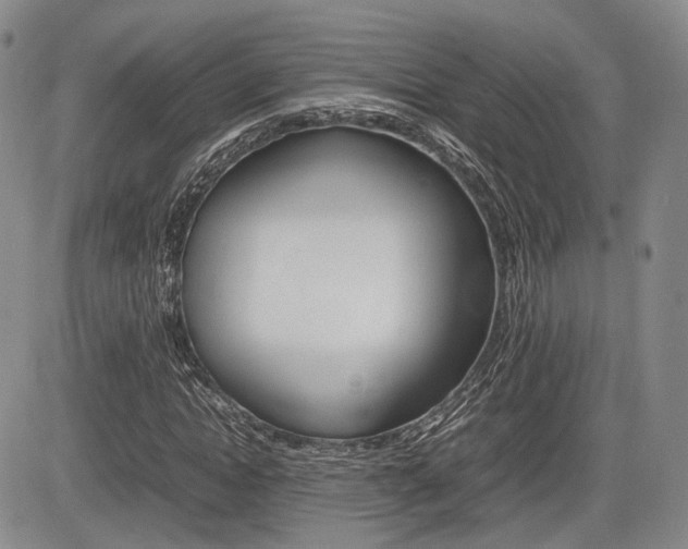 X0000085750822200703160835