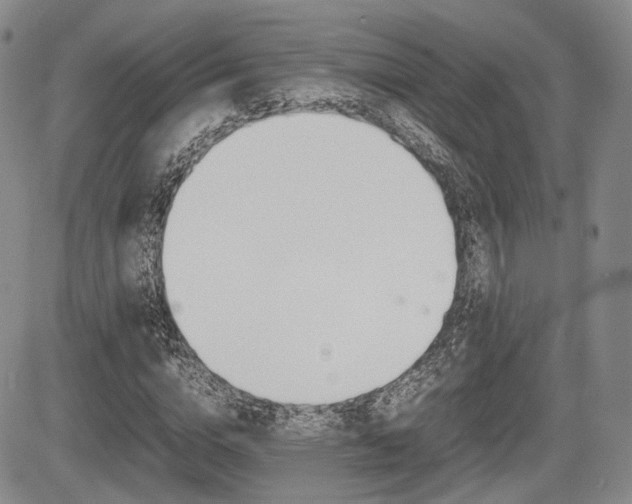 X0000085750824200703160835