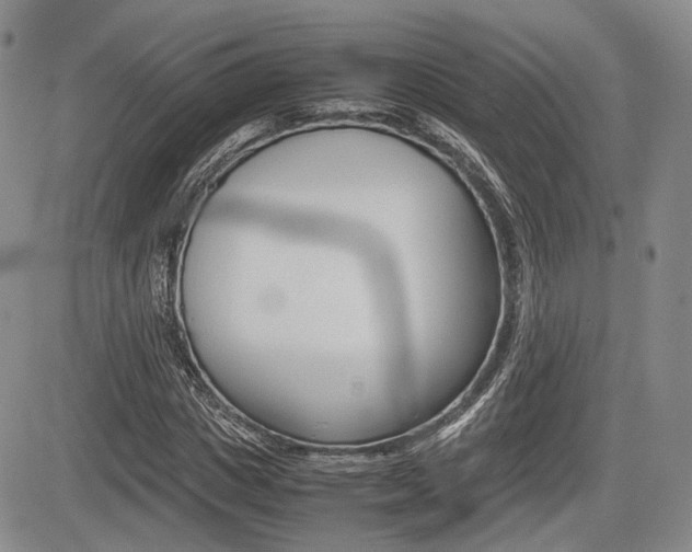 X0000085750825200703160835