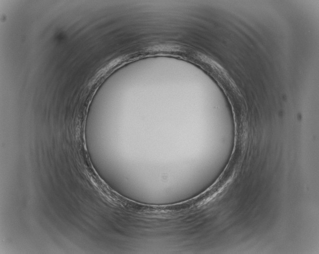 X0000085750833200703160835
