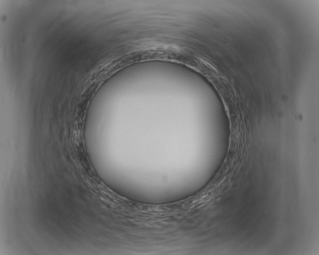 X0000085750869200703160835