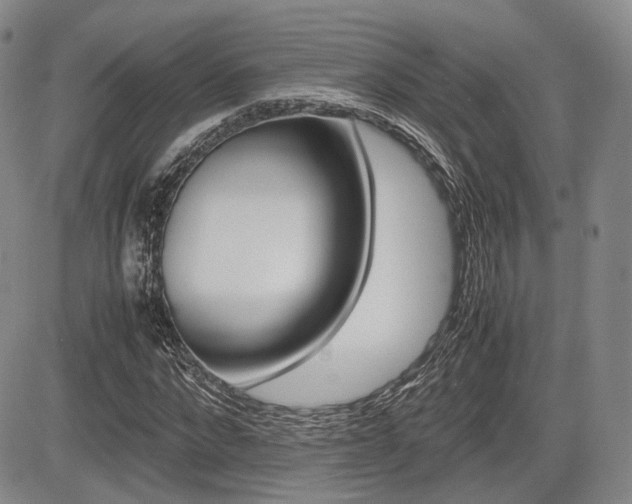 X0000085750872200703160835