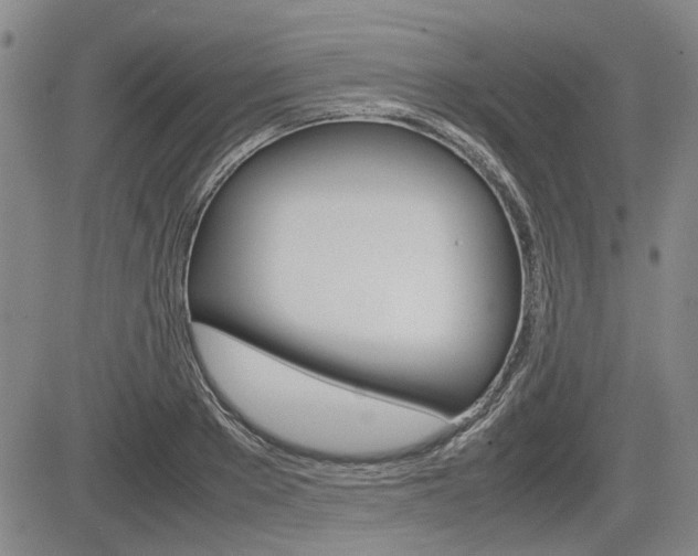 X0000085750889200703160835