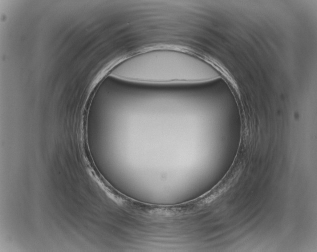 X0000085750898200703160835
