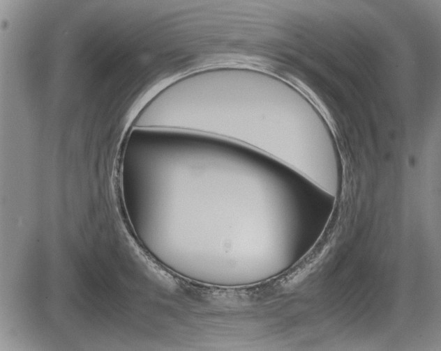 X0000085750901200703160835