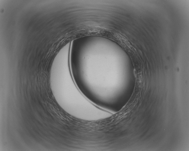 X0000085750916200703160834