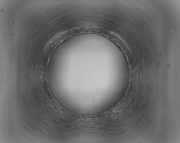 X0000085750919200703160834