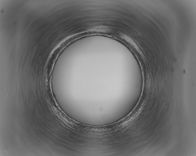 X0000085750923200703160834