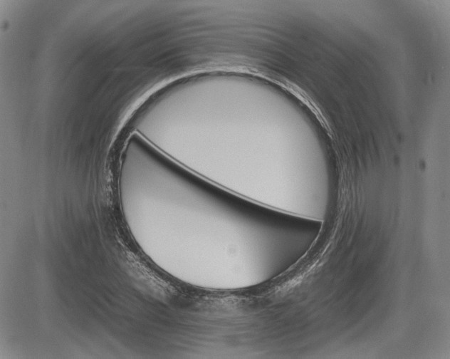 X0000085750926200703160834