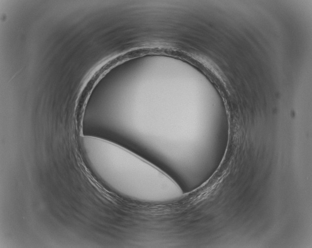 X0000085750927200703160834