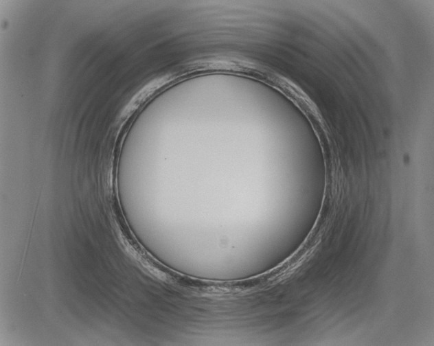 X0000085750938200703160834