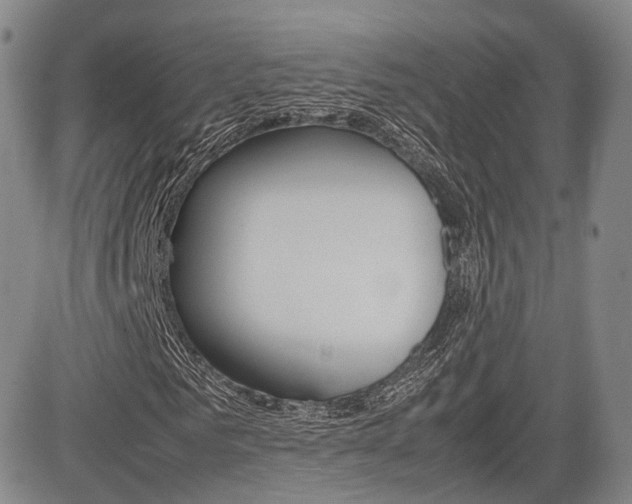 X0000085750961200703160833